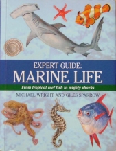 Cover art for Expert Guide: Marine Life