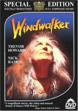 Cover art for Windwalker 