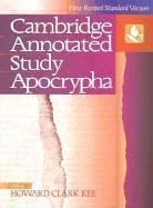 Cover art for The NRSV Cambridge Annotated Study Apocrypha
