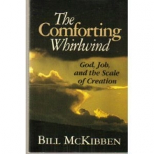 Cover art for The Comforting Whirlwind: God, Job, and the Scale of Creation