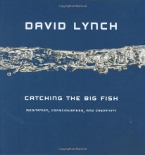 Cover art for Catching the Big Fish: Meditation, Consciousness, and Creativity