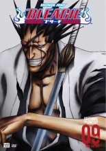 Cover art for Bleach: Volume 9 - The Entry 