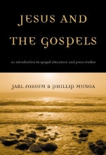 Cover art for Jesus and the Gospels: An Introduction to Gospel Literature and Jesus Studies