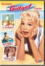 Cover art for The Complete Gidget Collection 