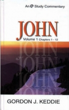Cover art for John: Volume 1 Chapters 1-12 (Evangelical Press Study Commentary) (Chapters 1-12 Vol 1)