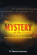 Cover art for The Mystery of the Gospel