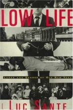 Cover art for Low Life: Lures and Snares of Old New York