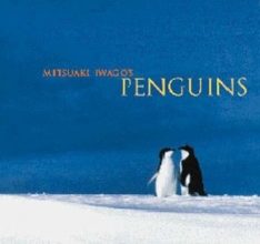 Cover art for Mitsuaki Iwago's Penguins