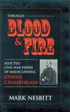 Cover art for Through Blood & Fire