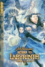 Cover art for Return to Labyrinth Volume 3 (v. 3)