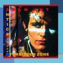 Cover art for Antics In The Forbidden Zone