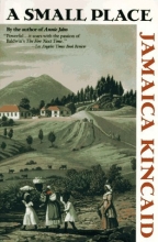 Cover art for A Small Place