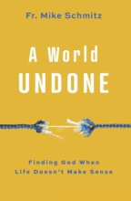 Cover art for A World Undone: Finding God When Life Doesn't Make Sense