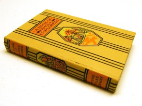 Cover art for Book of Famous Explorers. Young Folks Library
