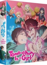 Cover art for Tomo-chan Is a Girl! - The Complete Season - LE