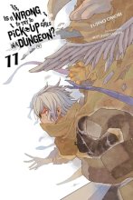 Cover art for Is It Wrong to Try to Pick Up Girls in a Dungeon?, Vol. 11 (light novel) (Is It Wrong to Pick Up Girls in a Dungeon?, 11)