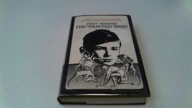 Cover art for The Painted Bird