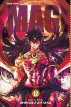 Cover art for Magi: The Labyrinth of Magic, Vol. 12 (12)