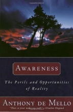 Cover art for Awareness: The Perils and Opportunities of Reality