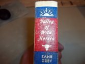 Cover art for Valley of Wild Horses (Walter J. Black, 1955)