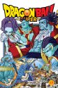 Cover art for Dragon Ball Super, Vol. 17 (17)