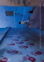 Cover art for Steve McCurry: The Unguarded Moment