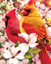 Cover art for Springbok Springtime Cardinals Jigsaw Puzzle, 500-Piece