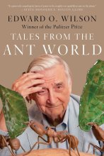 Cover art for Tales from the Ant World