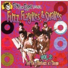 Cover art for Fuzz, Flaykes, & Shakes, Vol. 2: The Day Breaks at Dawn