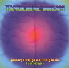 Cover art for Journey Through a Burning Brain (Anthology)
