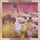 Cover art for American Metaphysical Circus by Joe Byrd & The Field Hippies