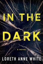 Cover art for In the Dark