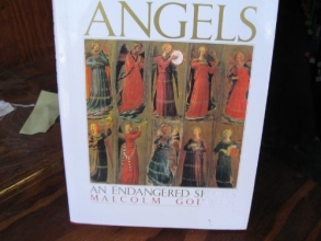 Cover art for Angels: An endangered species