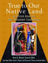 Cover art for True to Our Native Land: An African American New Testament Commentary