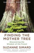 Cover art for Finding the Mother Tree: Discovering the Wisdom of the Forest