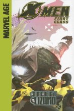 Cover art for X-Men, First Class The Bird, the Beast and the Lizard