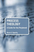 Cover art for Process Theology: A Guide for the Perplexed (Guides for the Perplexed)