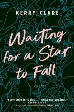 Cover art for Waiting for a Star to Fall: A Novel