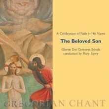 Cover art for Beloved Son