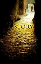 Cover art for The Story: Encounter the Story of Scripture in a Whole New Way