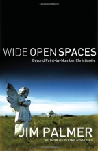 Cover art for Wide Open Spaces: Beyond Paint-by-Number Christianity