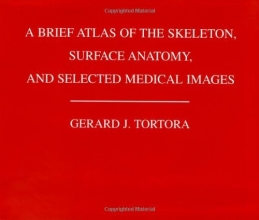 Cover art for A Brief Atlas of the Skeleton Surface Anatomy, and Selected Medical Images