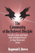 Cover art for The Community of the Beloved Disciple: The Life, Loves and Hates of an Individual Church in New Testament Times