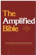Cover art for Amplified Bible