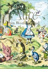 Cover art for Alice in Wonderland and Through the Looking Glass (Illustrated Junior Library)