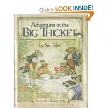 Cover art for Adventures in the Big Thicket