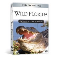 Cover art for Wild Florida