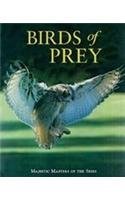 Cover art for Birds of Prey: Majestic Masters of the Skies