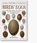 Cover art for Birds' Eggs (Dorling Kindersley Handbooks)