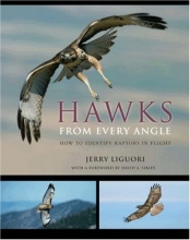 Cover art for Hawks from Every Angle: How to Identify Raptors In Flight